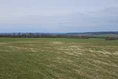 IMG-20260328-WA0005