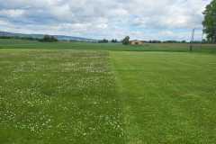 IMG-20260514-WA0007
