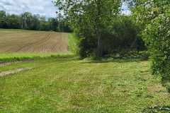 IMG-20260514-WA0012