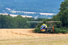 (c) SFreitag 07/2019